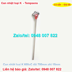 Can nhiệt loại K,600oC dài 700mm phi 15mm Tempsens